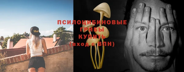 МДПВ Алексеевка