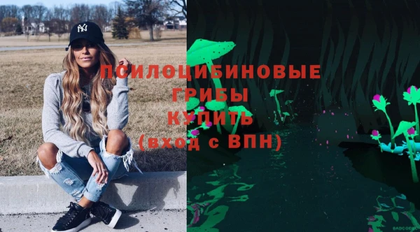 спиды Алексин